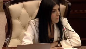 siyasi-partiyalar-haqqinda-yeni-qanun-layihesi-aktual-ve-onemlidir